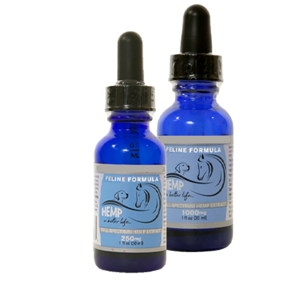 5.png__PID:23ae501e-ebe8-41b0-b44d-2153b23abe07